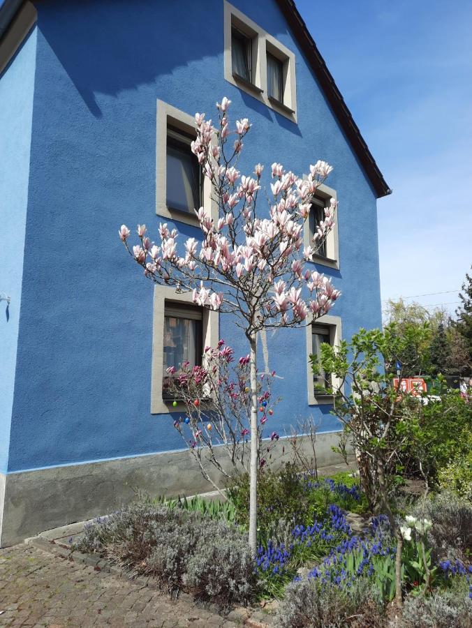 Kunstoase Am Blauen Haus Apartman Drezda Kültér fotó